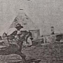 Roundhouse of Morayfield