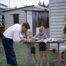 Toorbul - 1964 - filleting fish