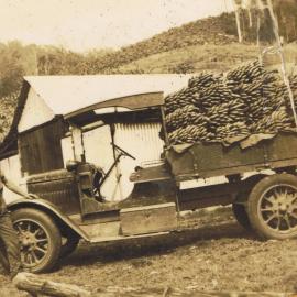 James' farm at Moorina