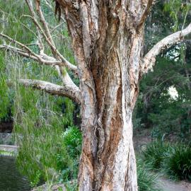 Centenary Lakes Area (Stage two area) - 2-14 Elliott Street Caboolture