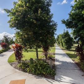 Pineapple Farm Park - corner Blatchford Street and Samsonvale Road Strathpine