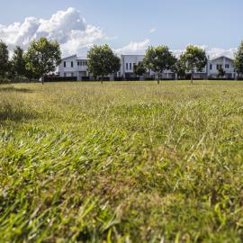 Pineapple Farm Park looking towards townhouses on Pineapple Parkway Strathpine - looking north