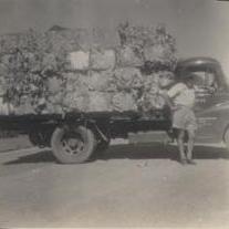 Bales of Waste Paper on an Austin Truck