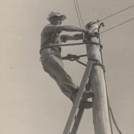 Alan Miekle - at top of electric light pole