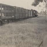 First train on Mill siding