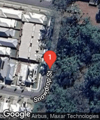 Snowdrop Street, Joyner (Qld.)