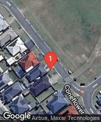 Coneflower Street, Caboolture (Qld.)