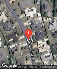 Eucalyptus Street, Caboolture (Qld.)