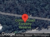 Collins Road Forestry Reserve (Central), Arana Hills (Qld.)