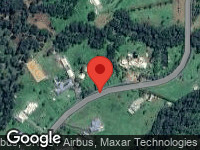 Royston Street Reserve, King Scrub (Qld.)